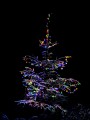 5904955131015_02c_CP.jpg